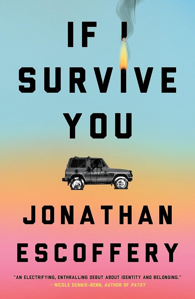 If I Survive You cover image