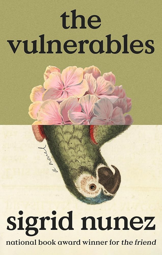 The Vulnerables: A Novel cover image