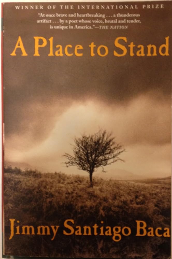 A Place to Stand cover image