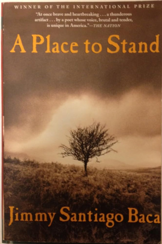 A Place to Stand cover image