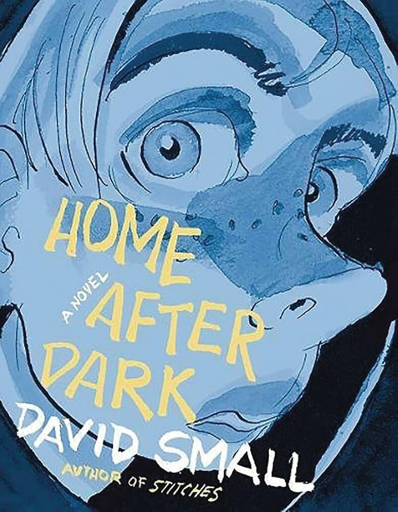Home After Dark: A Novel cover image