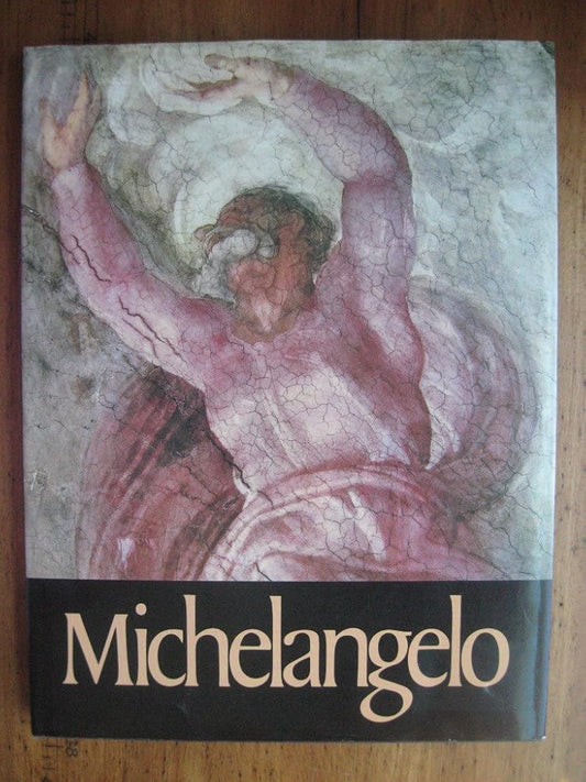 Michelangelo cover image