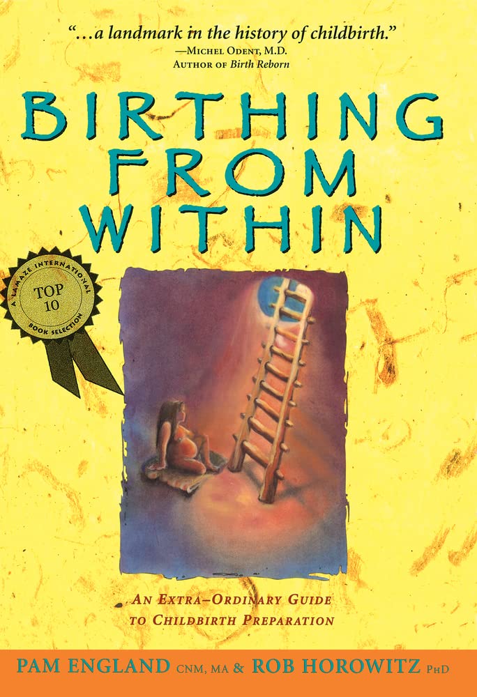 Birthing from Within: An Extra-Ordinary Guide to Childbirth Preparation cover image