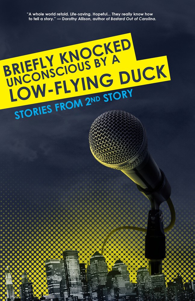 Briefly Knocked Unconscious by a Low-Flying Duck: Stories from 2nd Story cover image