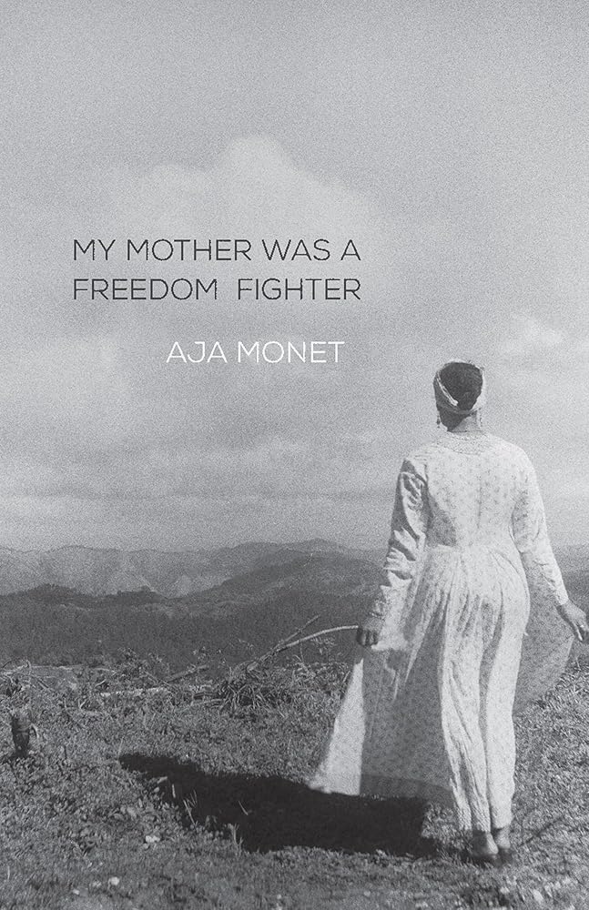My Mother Was a Freedom Fighter cover image