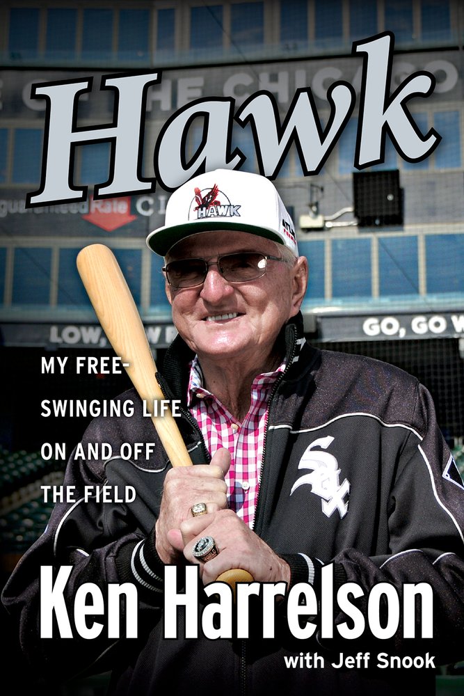 Hawk: I Did It My Way cover image