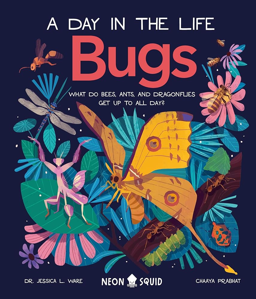 Bugs (A Day in the Life): What Do Bees, Ants, and Dragonflies Get up to All Day? cover image