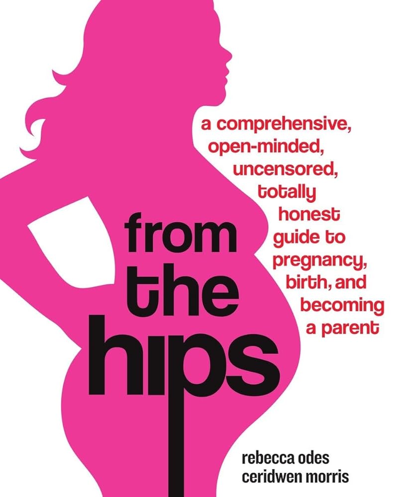 From the Hips: A Comprehensive, Open-Minded, Uncensored, Totally Honest Guide to Pregnancy, Birth, and Becoming a Parent cover image