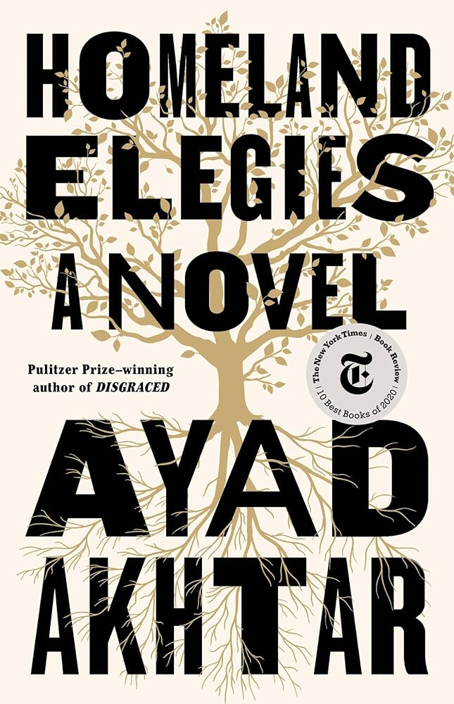 Homeland Elegies: A Novel cover image