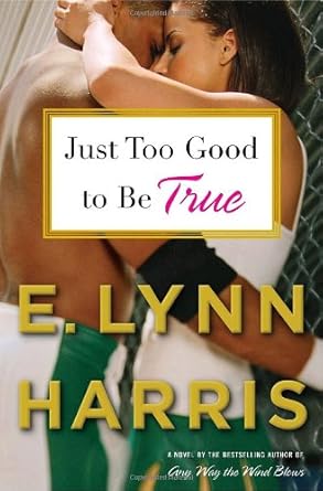 Just Too Good to Be True: A Novel cover image
