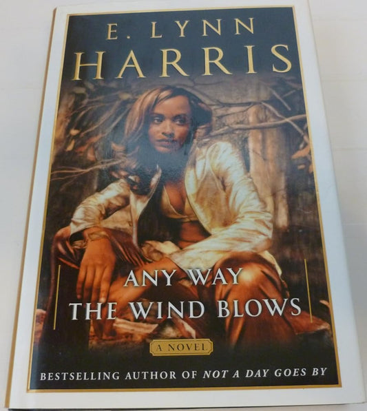 Any Way the Wind Blows: A Novel cover image