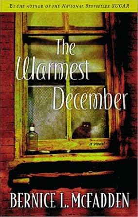 The Warmest December cover image