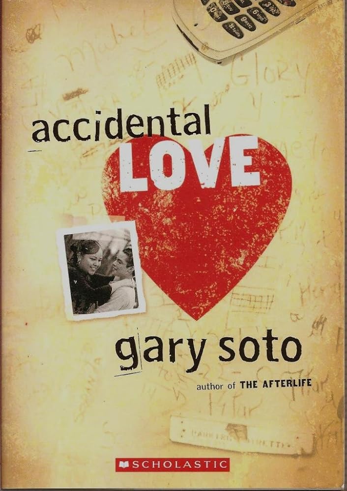 Accidental Love cover image