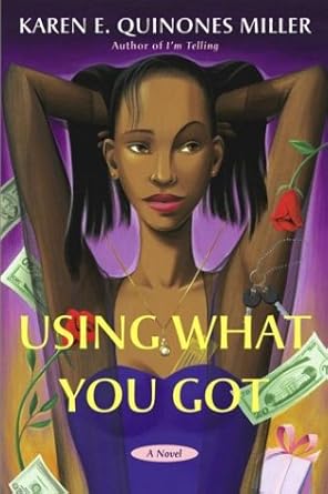 Using What You Got: A Novel cover image