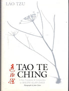 Tao Te Ching: A New Translation and Commentary cover image