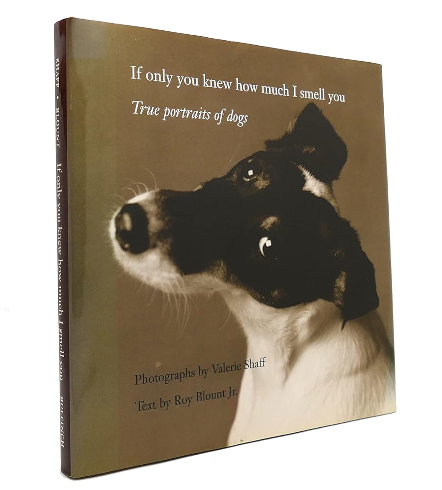 If Only You Knew How Much I Smell You: True Portraits of Dogs cover image