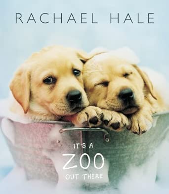 It's a Zoo Out There cover image
