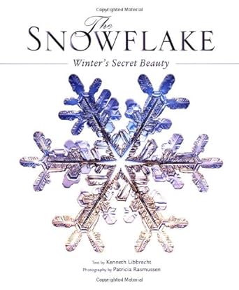 The Snowflake cover image