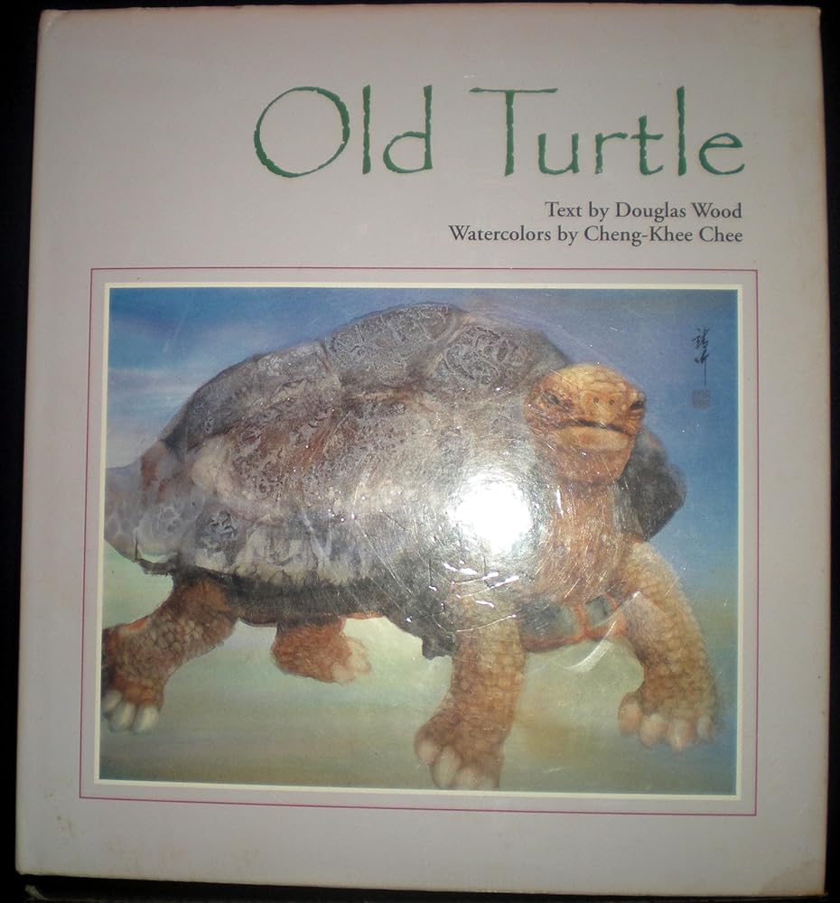 Old Turtle cover image