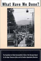 What Have We Done: The Foundation for Global Sustainability Stat of the Bioregion Report for the Upper Tennessee Valley and the Southern Appalachian Mountains cover image