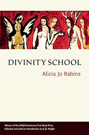 Divinity School cover image