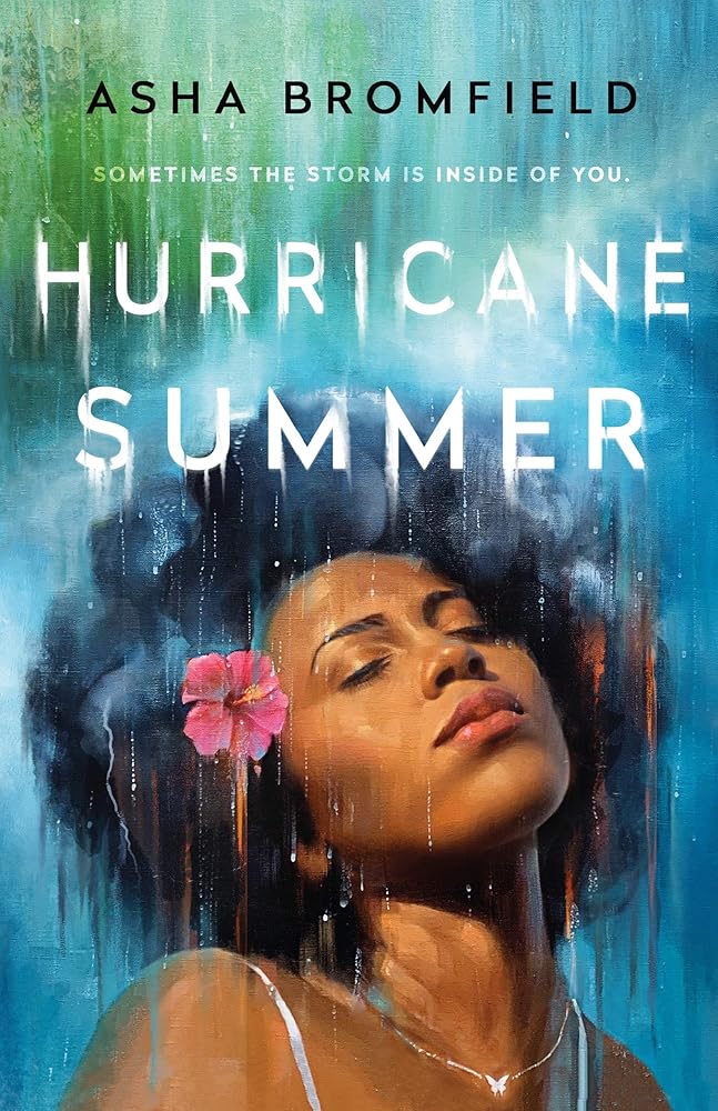 Hurricane Summer: A Novel cover image