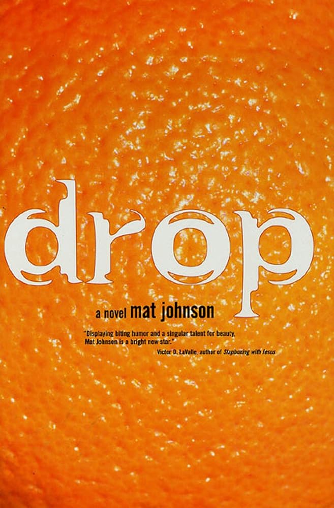 Drop: A Novel cover image