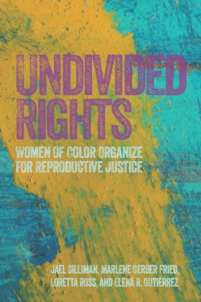 Undivided Rights: Women of Color Organizing for Reproductive Justice cover image