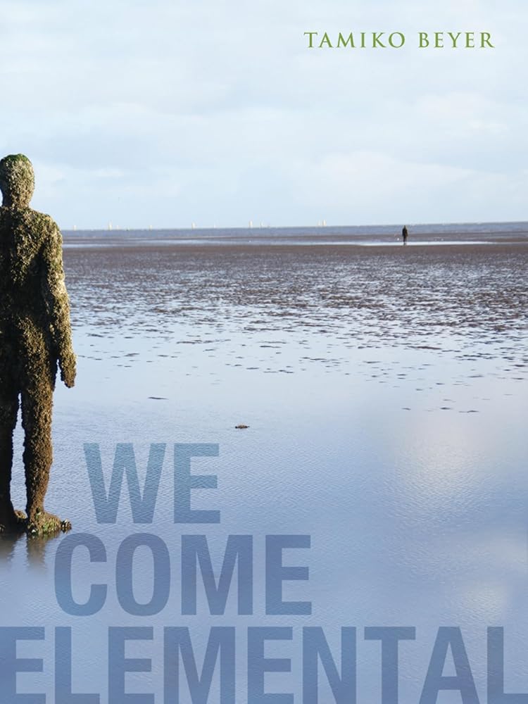 We Come Elemental cover image